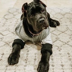 Meet your Posher, Mia